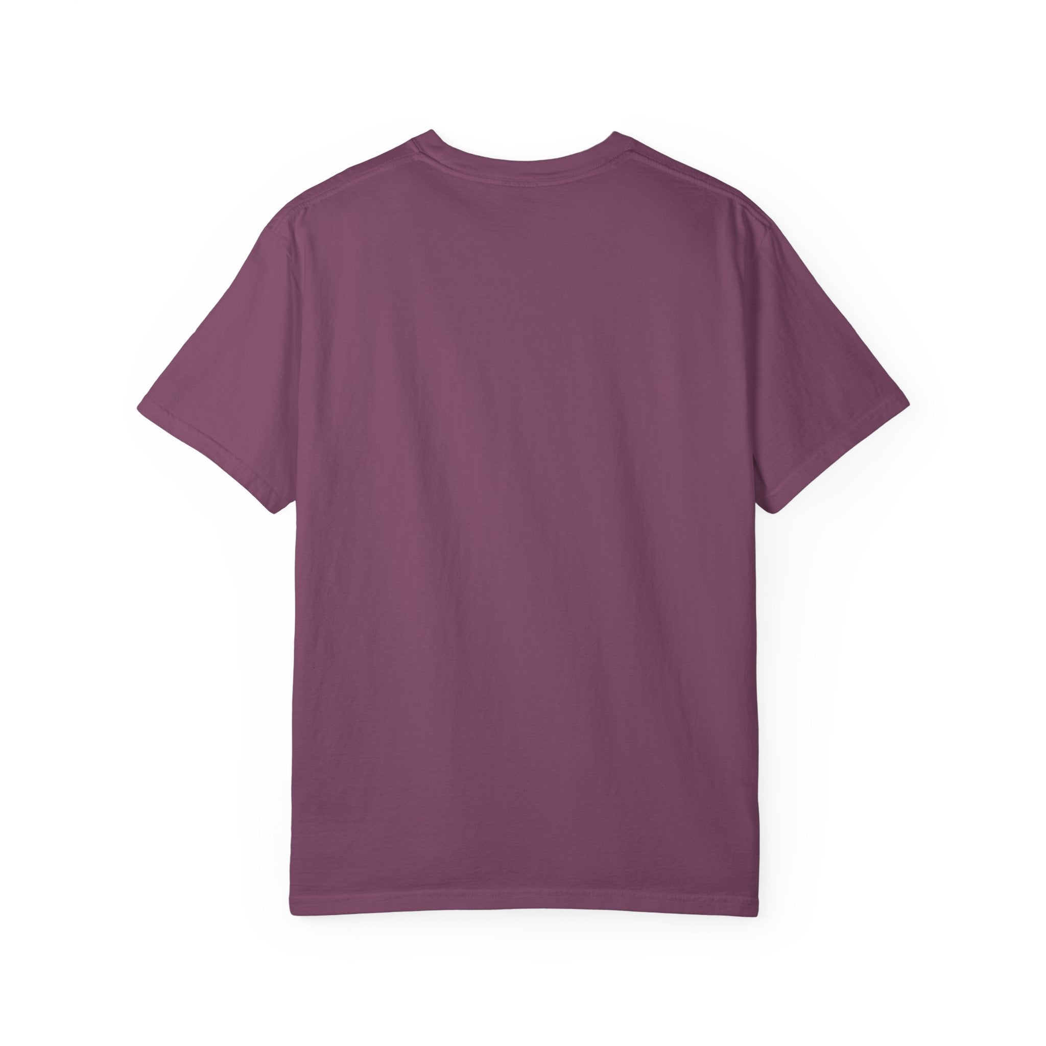 Snarky Homeschool vs Public School T-Shirt — 'Polite Homeschool Kids' Comment Tee